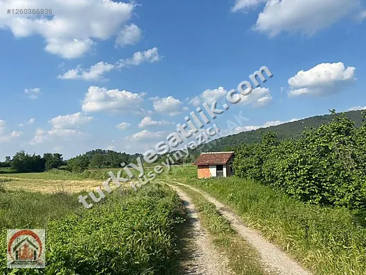 AKYAZI EMLAK'TAN KUZULUK ÇEVRE YOLU ÜZERİNDE SATILIK TARLA — görsel 11