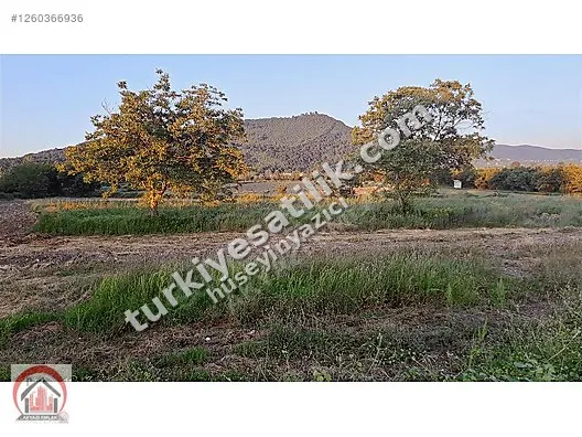 AKYAZI EMLAK'TAN KUZULUK ÇEVRE YOLU ÜZERİNDE SATILIK TARLA — görsel 2